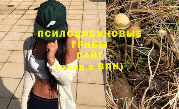 jwh Вязьма
