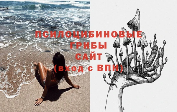гашиш Вяземский