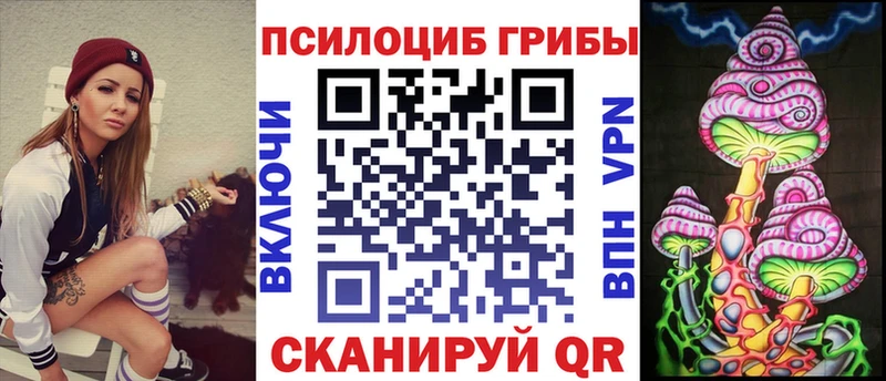 Купить где  Елец  Псилоцибиновые грибы мицелий 
